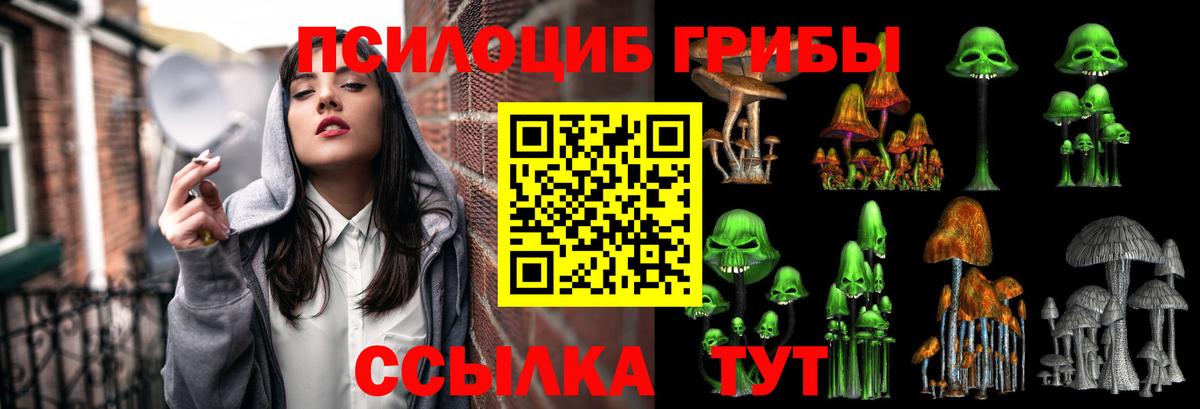 Галлюциногенные грибы мицелий  Вход с VPN  как найти закладки  Чехов  Галлюциногенные грибы Cubensis 